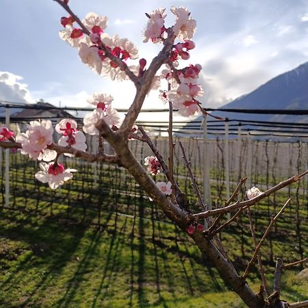 Appartamento Biohof Gala Naturns Esterno foto