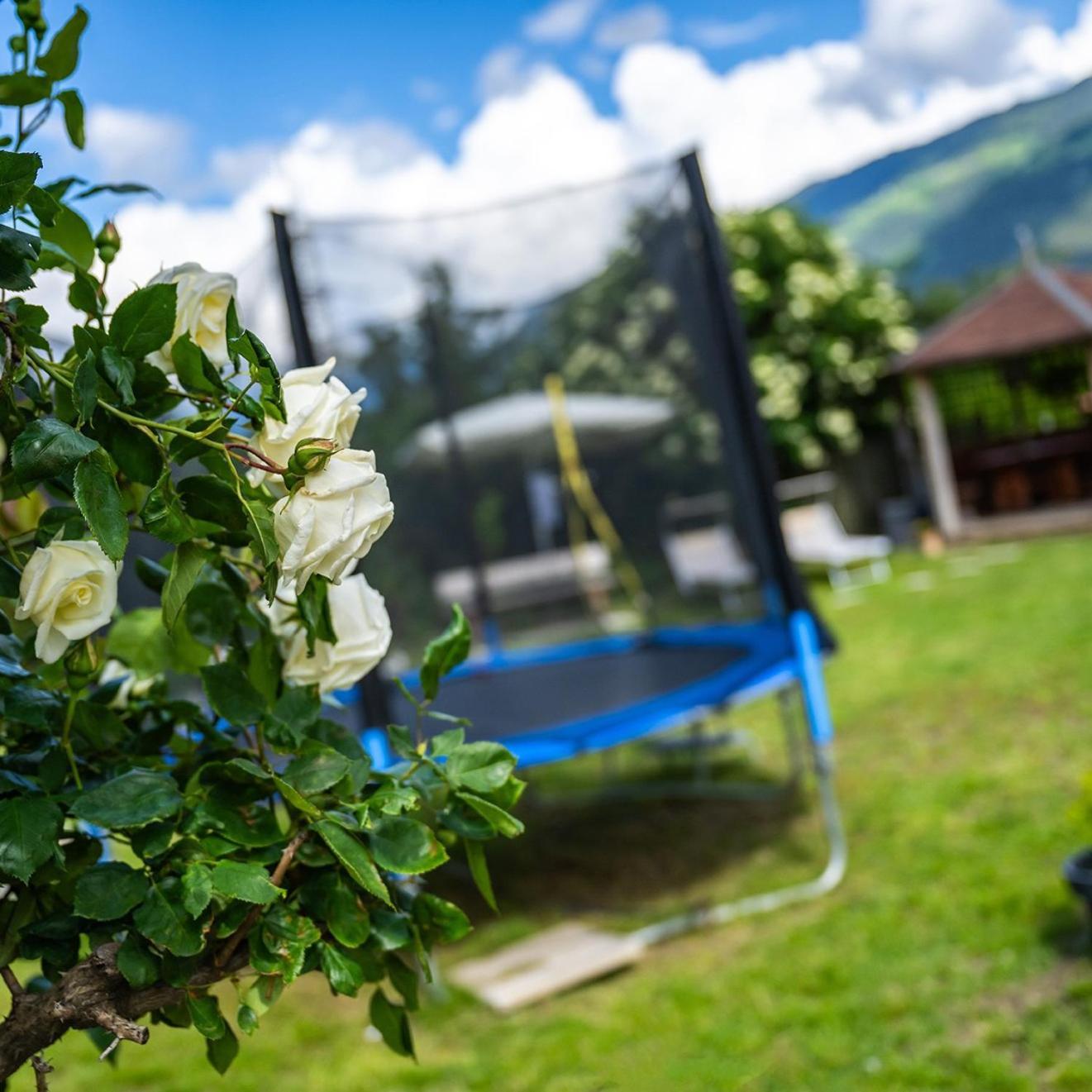 Appartamento Biohof Gala Naturns Esterno foto